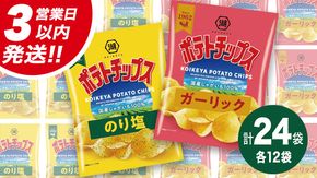 【最短3営業日！スピード発送】 湖池屋 ポテトチップス 2種類アソート （のり塩・ガーリック）（各12袋・計24袋） ポテチ お菓子 おかし 大量 スナック おつまみ ジャガイモ じゃがいも まとめ買い スナック菓子 数量限定