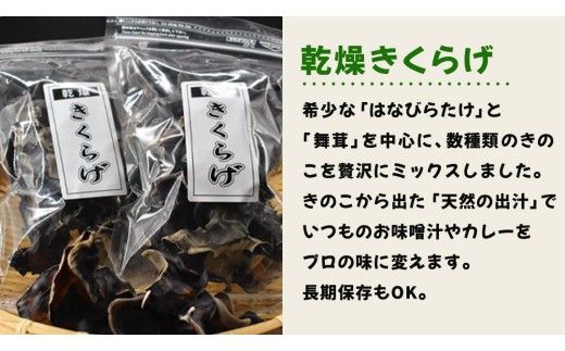 きのこ の 加工品 詰め合わせ 5点セット （茨城県共通返礼品：城里町） きのこミックス 野菜 水煮 国産 きのこ ご飯の素 国産 うどん そばの具 乾燥 しいたけ 乾燥 きくらげ バラエティ セット 乾燥きのこ  [DY004us]