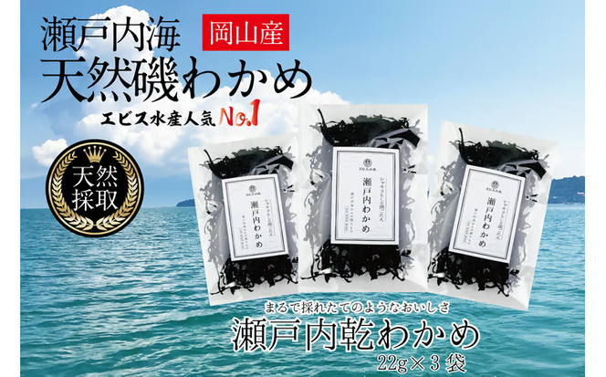 風味豊かな 瀬戸内 わかめ 22g×3袋 エビス水産【岡山 瀬戸内海 天然 カットわかめ】