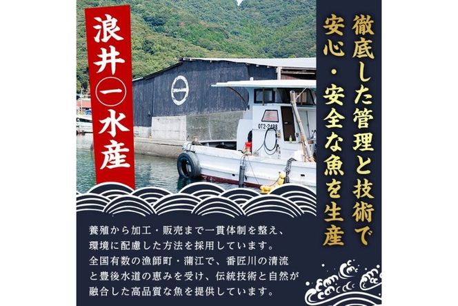 豊後水道 とらふぐ 切り身 (計1.2kg) ふぐ フグ トラフグ ふぐ鍋 唐揚げ ふぐちり てっちり 小分け 切身 切り身魚 切身魚 大容量 国産 冷凍 養殖 岬ふぐ【JJ001】【浪井丸一水産】