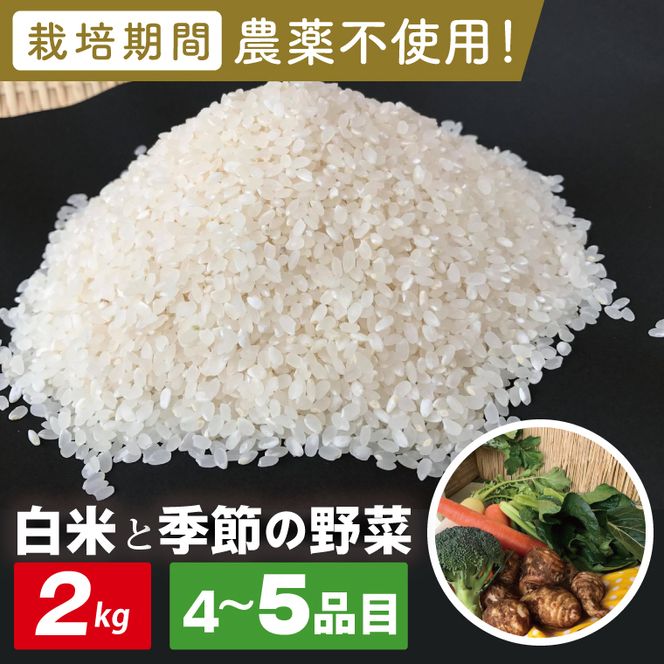 【身体が喜ぶ野菜】白米2kgと季節の野菜(おまかせ4〜5品)(茨城県共通返礼品／潮来市)｜米 お米 こめ 白米 野菜 野菜セット 栽培期間農薬不使用 茨城県共通返礼品 共通返礼品 茨城県 潮来市 行方市(BI-58)