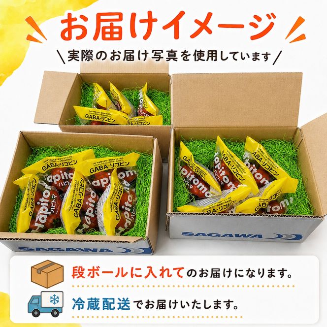 機能性表示食品 Hapitoma ハピトマ 糖度7（1kg）【配送不可：北海道・沖縄・離島】健康 ヘルシー GABA リコピン 人気 厳選 袋井市 野菜 トマト ミニトマト とまと 