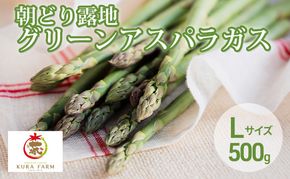 【2026年5月より発送】北海道 富良野市産 アスパラ 緑 (Lサイズ) 約500g 朝どり 露地 グリーン アスパラガス 詰め合わせ 野菜 新鮮 数量限定 先着順【藏ファーム】