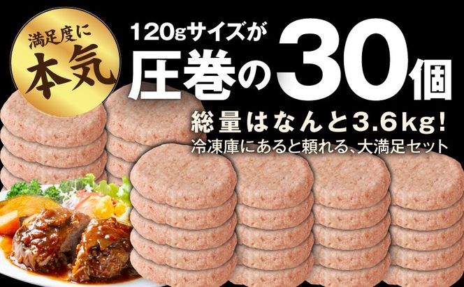 CFX0115 肉の泉佐野 ハンバーグ 30個（合計3.6kg）【黒毛和牛 なにわポーク入り 120g×30個 小分け 冷凍 ストック 人気 総菜 はんばーぐ 訳あり 簡単調理 おかず お弁当】