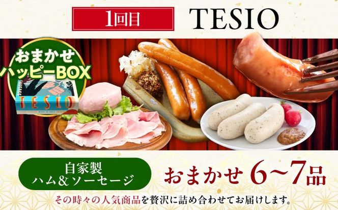 【全3回定期便】ビールと相性抜群！沖縄のおつまみセット【沖縄市】ビール 酒 おつまみ / TESIO（株式会社ヒネエル） / だるまそば / お肉屋本店[BCZZ021]