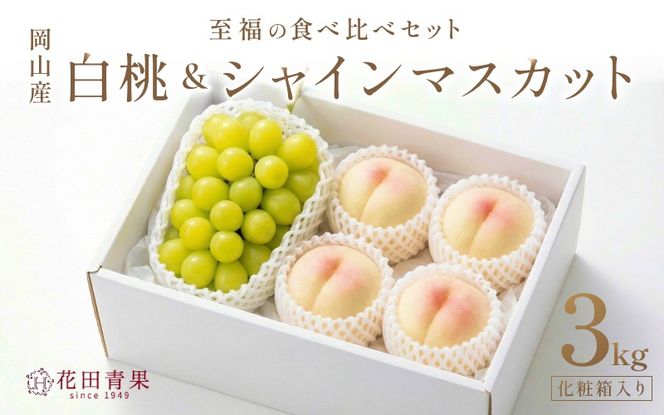 【2026年先行予約】 岡山県産 シャインマスカット＆桃 セット 約3kg 花田青果【8月中旬～9月中旬まで順次発送予定】/ 葡萄 ぶどう 果物フルーツ 詰め合わせ【hnds012】