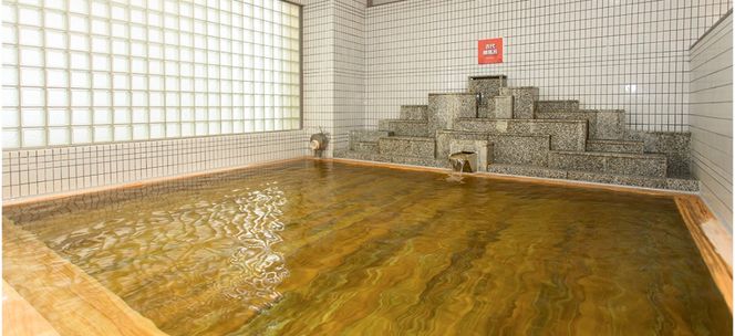 スパランド ホテル内藤 入館券 1回分 254-001