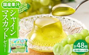 シャインマスカットゼリー 1袋4個入×12袋 和歌山産業提供 山形県 東根市 hi070-007