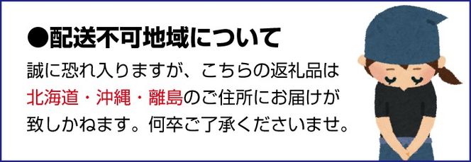 岡山白桃 ご自宅用お試しサイズ 1.4kg前後 momo51 / 自宅用 家庭用 お試し 【配送不可地域：北海道／沖縄県／離島】 【jujy086-01】
