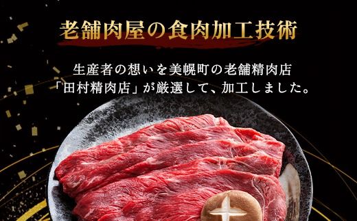 【田村精肉店】北海道産ブランド牛の赤身600g(スライス400g・切り落とし200g)【配送不可地域：離島】 BHRJ021