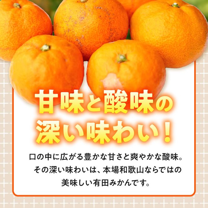 【2026年先行予約】【訳あり ご家庭用】和歌山県産 有田みかん 8kg＋2kg保証分 サイズ混合_EH6101