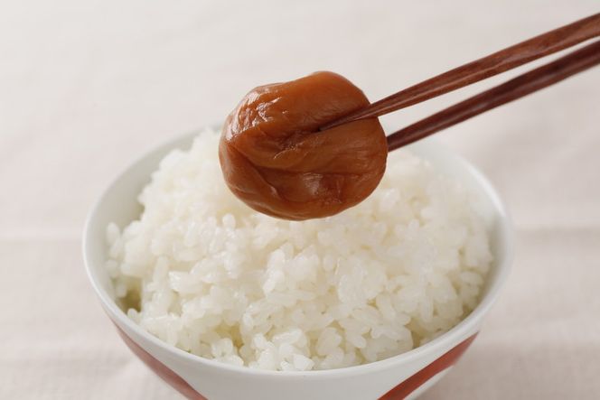 甘口しそ梅干し500g 紀州南高梅うめぼし和歌山産(化粧箱入) 紀伊国屋文左衛門本舗◇ ｜梅干 厳選 最高級 しそ梅 あまくち ふるさと納税 梅干し 和歌山 梅干