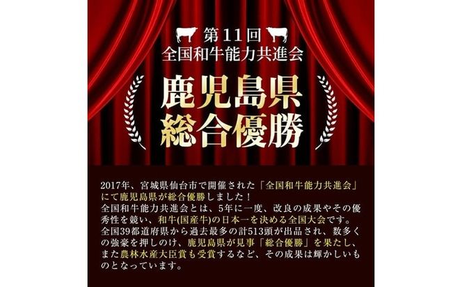 鹿児島県産 黒毛和牛を使った肉屋の贅沢合挽き生ハンバーグ 15個(計1.6kg以上) a2-137