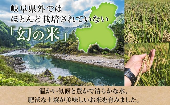 ＜先行予約＞令和8年産 はつしも 精米 20kg×1袋 低農薬 新米 お米 白米 米 ごはん 米 ご飯 ハツシモ R8年産 あっさり ブランド米 お取り寄せ 産地直送 送料無料 美濃グリーン 岐阜県 美濃市