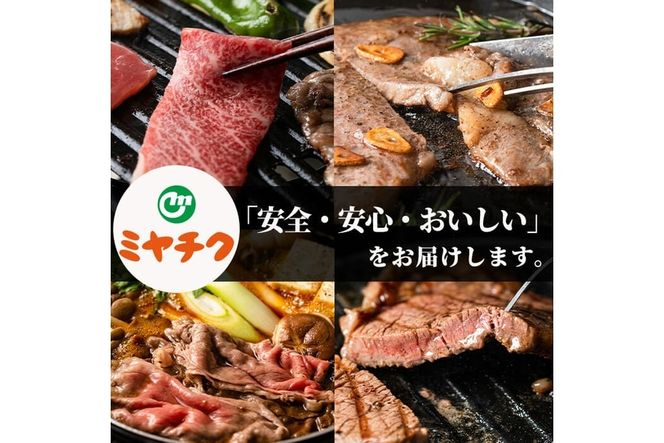 宮崎牛ロースステーキ(計500g・250g×2)お肉 牛肉 黒毛和牛 ブランド和牛 冷凍 国産 焼肉 BBQ【R-33】【ミヤチク】