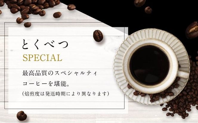 6ヶ月定期便／コーヒー豆3種800ｇ詰合せ：Nif Coffee(ニフコーヒー)川崎市