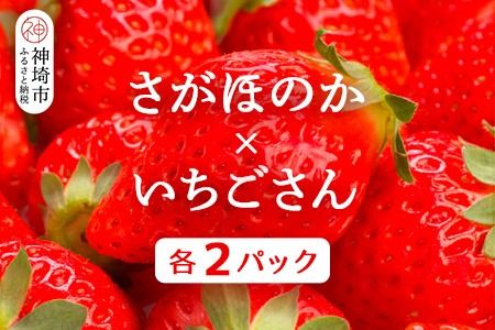 yꌧ_szy2026N1{蔭Jnz(ق̂E)e2pbNyʕ  t[c C`S z(H116136)