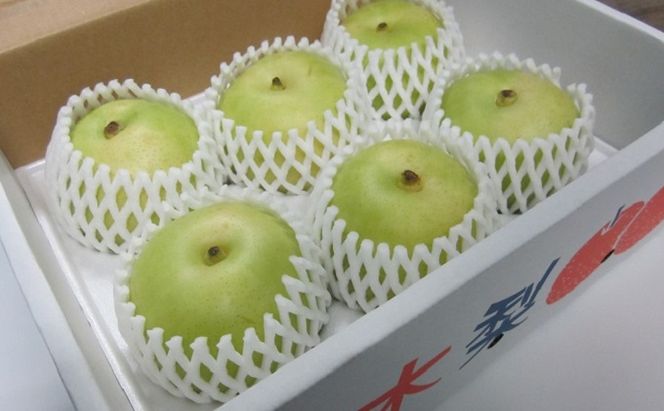 フルーツの里の直売所より 二十世紀梨 2.5kg ナシ 果物 先行予約 