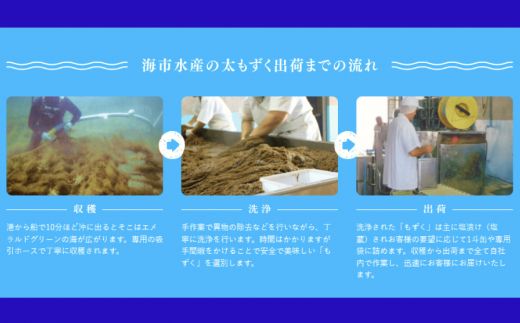 海市水産から直送する「うるまの太もずく約3kg【塩蔵】」沖縄もずく