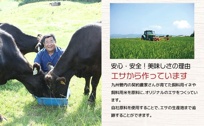 湯煎で簡単！国産牛テールスープ 7Pセット　K002-044