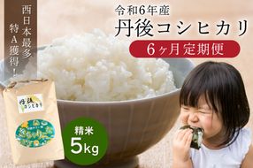 【6ヶ月定期便】直売所直送「令和6年産　京丹後市産　コシヒカリ」　精米5kg　JA00061