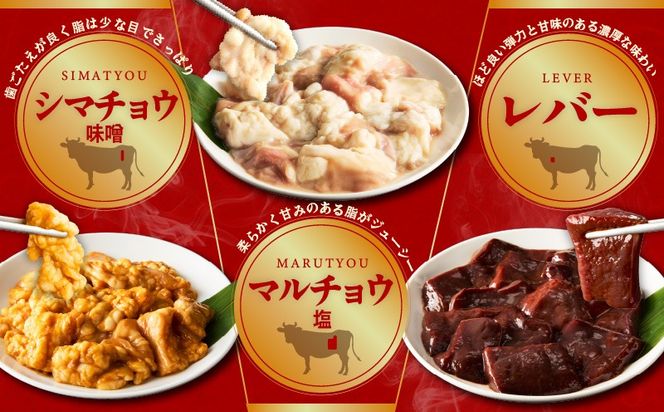 010B1629 ホルモンミックス 6種セット 合計 1.5kg 秘伝のタレ漬け【食べ比べ 250g×6種 小分け 焼肉 牛肉 ハラミ ミノ センマイ レバー 小腸 大腸 】