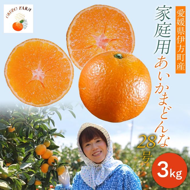 【先行予約】家庭用　あいかまどんな２８号　３kg IKTAT016