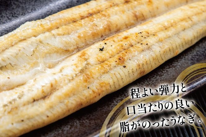 うなぎ 国産 白焼 定期便 160g程度 2尾 12回 総計24尾 3.84kg以上 タレ山椒付き 真空パック 個包装 [駿河淡水 静岡県 吉田町 22424508] 静岡県産 静岡 鰻 ウナギ うなぎ白焼き うなぎ白焼 鰻白焼き 白焼き 化粧箱 冷凍 unagi