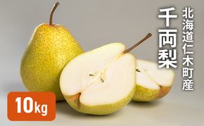 [先行受付] 北海道 仁木町産 千両梨 10kg  梨 ナシ 果実 果物 くだもの フルーツ [林果樹園]