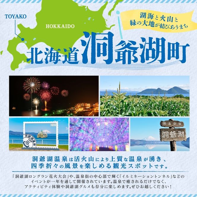 北海道産 冷凍野菜 4種 果実 1種 セット 計5袋 野菜 長ねぎ にんじん ブロッコリー かぼちゃ ブルーベリー 詰め合わせ 小分け 簡単 時短 カット野菜 調理済 便利 一人暮らし 送料無料 冷凍 国産 北海道 洞爺湖町