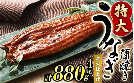 うなぎ蒲焼 4尾 計約880g （タレ・山椒付き） 1尾で約220gのビッグサイズ【通常発送】 鰻 うなぎ うなぎの蒲焼 炭火焼き 炭火 中国産【nks703B】