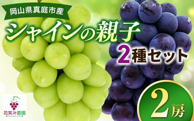 【2026年先行予約】岡山 花笑み農園　『園主おすすめぶどう2種セット』～シャインの親子セット～ 【hana065-02】