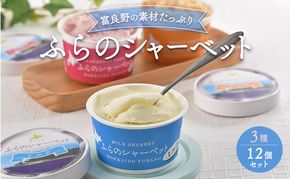 北海道富良野市 ふらの シャーベット 12個 3種×4個 (ディームファクトリー)