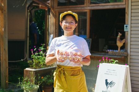 おひさまプリン5個セット 【スイーツ 平飼い 無添加 有精卵 ミルン牧場 牛乳 プリン県 プリンマップ】(H073108)