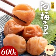 SF2005_特選紀州南高梅「白梅の里」ほのか　600ｇ