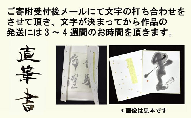 099H4649 書道家による直筆書 上平梅径 直筆書(白1字)
