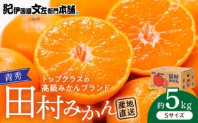 V7449_【2026年先行予約】青秀 田村みかん 5kg Sサイズ