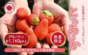 【先行予約】いちご 厳選！さくら市産 とちあいか（290g×4パック） ※2027年1月～発送