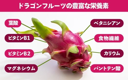【2026年発送】南国フーズのドラゴンフルーツ 【レッドドラゴンフルーツ】 約1.5kg - 赤 果肉 レッド ピタヤ スーパーフルーツ 先行受付 先行予約 人気 抗酸化作用 ベタシアニン おすすめ 国産 沖縄県 八重瀬町