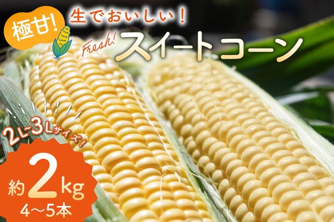 BJ454【令和9年度出荷分】 とうもろこし スイートコーン イエロー 2L〜3Lサイズ 4本〜5本 約2kg [ トウモロコシ コーン ゴールドラッシュ 野菜 2キロ さかいさんち SAKAI FARM 長崎県 島原市 ] 