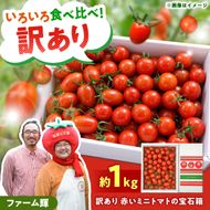 【訳あり】【先行予約】訳あり 赤いミニトマトの宝石箱 約1kg / いろいろな品種を気軽に楽しめる食べ比べセット〈2026年11月下旬～2027年5月下旬まで〉 トマト とまと ミックス 詰め合わせ セット 野菜 料理 サラダ マリネ パスタ 浅漬け おやつ 弁当 甘味 酸味 新鮮 高知県 土佐市【ファーム輝】 [BQBM009]