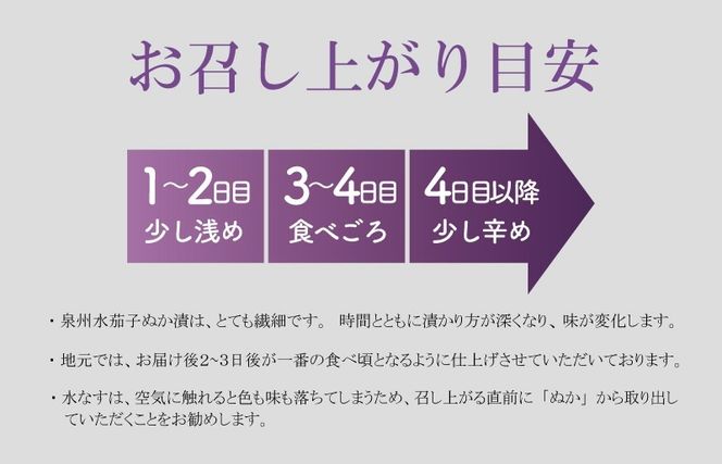099H4573 水なす浅漬け 5個 水なす染めタオルハンカチセット【新鮮 野菜 泉佐野産 茄子 やさい 高評価 数量限定】