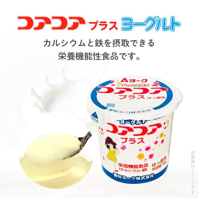 【6ヶ月定期便】愛知ヨーク　コアコアプラスヨーグルト　20個入［108A12-T］ヨーグルト コアコアプラスヨーグルト 20個入 愛知ヨーク定期便 カルシウム 鉄分 カップヨーグルト 朝食 スイーツ