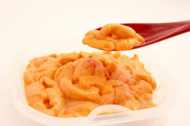 北海道産　世壱屋塩水ウニ（バフンウニ）100g_Y038-0140