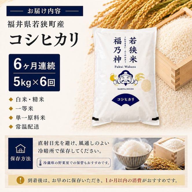 米 定期便 6ヶ月 コシヒカリ 5kg 白米 一等米 ブランド米 5キロ 産地直送 定期 6回