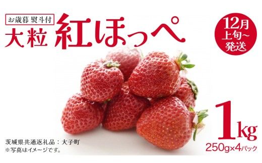 【 お歳暮 熨斗付き 】 紅ほっぺ 250g（8～12粒）×4パック (茨城県共通返礼品：大子町) いちご 苺 果物 フルーツ 果実 贈答用 ギフト 贈り物