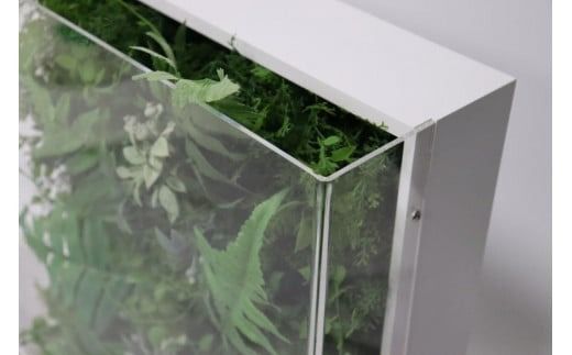 高級インテリアグリーン　Lサイズ