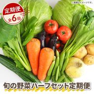 【 全6回定期便 】 野菜 詰め合わせ 産地 直送 6 ~ 8種 減農薬 栽培 旬 採れたて やさい お試し 一人暮らし ふたり暮らし 健康 食材 ハーフセット 静岡県 藤枝市 [PT0133-020000]