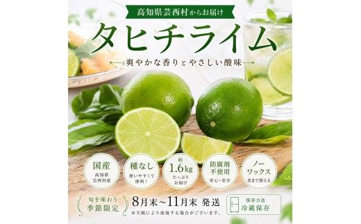 訳あり タヒチライム 約1.6kg ライム サイズおまかせ 国産 種なし 柑橘類 かんきつ類 防腐剤不使用 ノーワックス 新鮮 冷蔵 家庭用 果物 くだもの フルーツ 秋 旬 ジュース カクテル ジンライム 料理 アレンジ 爽やか 芸西村 高知県産