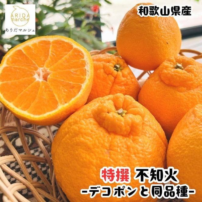 【先行予約】特選 濃厚 不知火 (通称デコポン) 10kg+200g(痛み補償分) ※2027年1月下旬～3月下旬に順次発送【ard260】